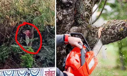 शहर में पेड़ों की अवैध कटाई से चिंता बढ़ी, NGT अयोध्या बाईपास मामले की सुनवाई 8 जनवरी को करेगा शहर में पेड़ों की अवैध कटाई से चिंता बढ़ी, NGT अयोध्या बाईपास मामले की सुनवाई 8 जनवरी को करेगा