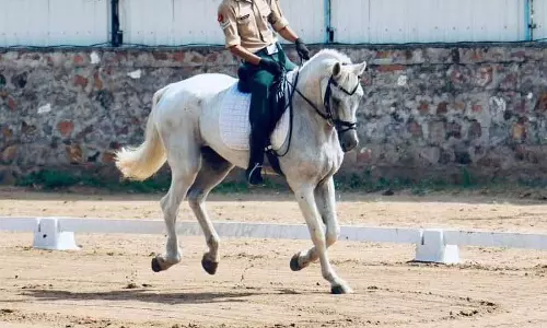Mandi के लड़के ने जूनियर नेशनल घुड़सवारी टूर्नामेंट में राज्य का नाम रोशन किया