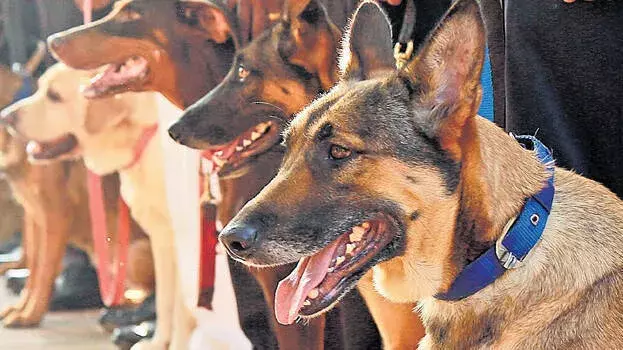 kerala: कासरगोड कोर्ट को बम धमकी, तीन आत्मघाती हमलावर परिसर में kerala: कासरगोड कोर्ट को बम धमकी, तीन आत्मघाती हमलावर परिसर में
