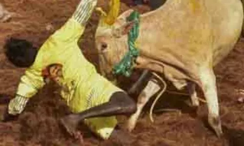 पोंगल के दौरान अलंगनल्लूर जल्लीकट्टू का उद्घाटन करेंगे CM