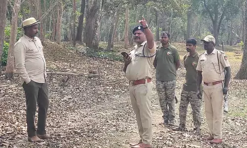 Tiger सर्वे: पहला फेज़ पूरा हुआ Tiger सर्वे: पहला फेज़ पूरा हुआ