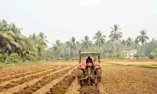 Kerala : हेरिटेज ग्रुप द्वारा एडवांस्ड टेक्नोलॉजी का इस्तेमाल करके तरबूज की खेती Kerala : हेरिटेज ग्रुप द्वारा एडवांस्ड टेक्नोलॉजी का इस्तेमाल करके तरबूज की खेती