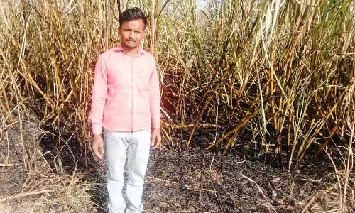 Karnataka : शॉर्ट सर्किट से 3 एकड़ गन्ना जल गया Karnataka : शॉर्ट सर्किट से 3 एकड़ गन्ना जल गया