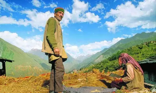 Himachal: उद्यान कार्ड वापस लिए जाएंगे, राज्य एग्रीस्टैक पर शिफ्ट होने पर विचार कर रहा Himachal: उद्यान कार्ड वापस लिए जाएंगे, राज्य एग्रीस्टैक पर शिफ्ट होने पर विचार कर रहा