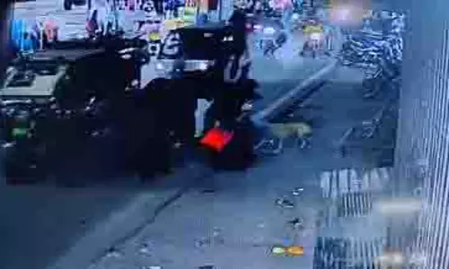 UP के मुरादाबाद में कुत्ते के काटने से नाबालिग लड़की घायल UP के मुरादाबाद में कुत्ते के काटने से नाबालिग लड़की घायल