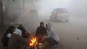 Haryana Weather: ठंड का कहर, इन जिलों में कोल्ड डे की चेतावनी Haryana Weather: ठंड का कहर, इन जिलों में कोल्ड डे की चेतावनी