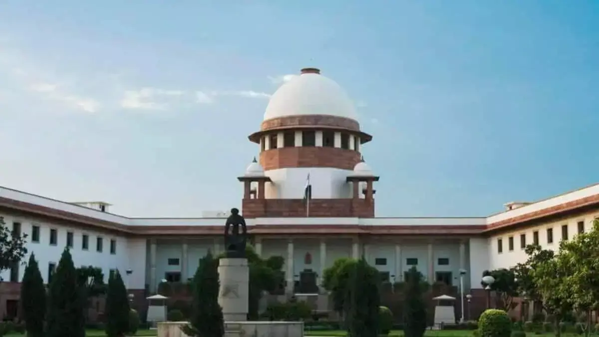 Delhi: आवारा कुत्तों के खतरे पर आज भी सुप्रीम कोर्ट में सुनवाई जारी Delhi: आवारा कुत्तों के खतरे पर आज भी सुप्रीम कोर्ट में सुनवाई जारी