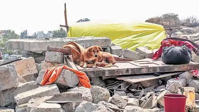 कोयल विवाद: अवैध घर बनाने के आरोप में चार लोगों के खिलाफ FIR दर्ज कोयल विवाद: अवैध घर बनाने के आरोप में चार लोगों के खिलाफ FIR दर्ज
