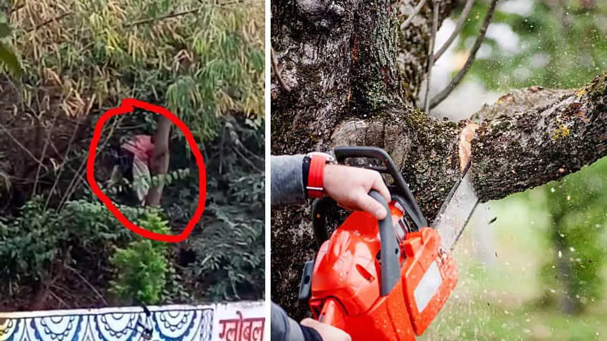 शहर में पेड़ों की अवैध कटाई से चिंता बढ़ी, NGT अयोध्या बाईपास मामले की सुनवाई 8 जनवरी को करेगा शहर में पेड़ों की अवैध कटाई से चिंता बढ़ी, NGT अयोध्या बाईपास मामले की सुनवाई 8 जनवरी को करेगा