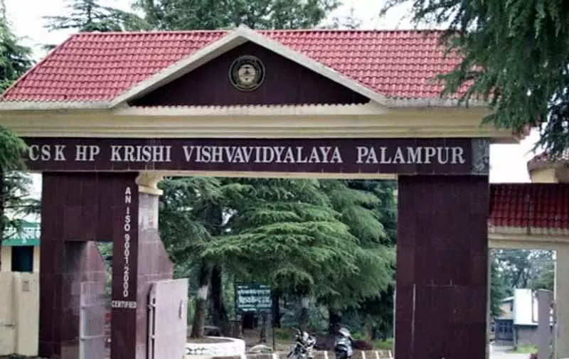 पेंशनरों के मुद्दों को चरणबद्ध तरीके से हल किया जाएगा: Agricultural University Sabha पेंशनरों के मुद्दों को चरणबद्ध तरीके से हल किया जाएगा: Agricultural University Sabha