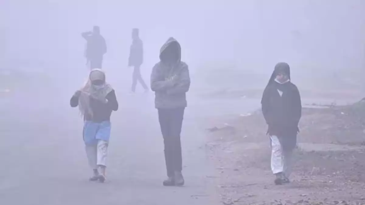 Bareilly: ठिठुरन बढ़ी, ठंड और कोहरे का असर Bareilly: ठिठुरन बढ़ी, ठंड और कोहरे का असर
