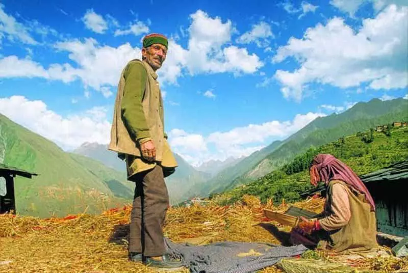 Himachal: उद्यान कार्ड वापस लिए जाएंगे, राज्य एग्रीस्टैक पर शिफ्ट होने पर विचार कर रहा Himachal: उद्यान कार्ड वापस लिए जाएंगे, राज्य एग्रीस्टैक पर शिफ्ट होने पर विचार कर रहा