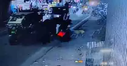 UP के मुरादाबाद में कुत्ते के काटने से नाबालिग लड़की घायल UP के मुरादाबाद में कुत्ते के काटने से नाबालिग लड़की घायल