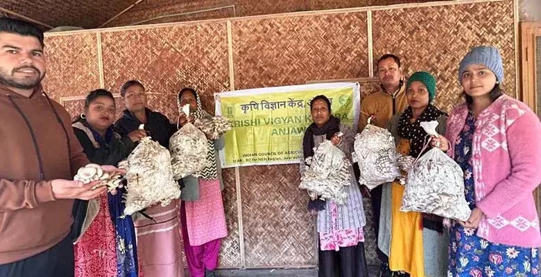 Arunachal केवीके अंजॉ ने इलायची के कचरे पर ऑयस्टर मशरूम का ट्रायल किया Arunachal केवीके अंजॉ ने इलायची के कचरे पर ऑयस्टर मशरूम का ट्रायल किया