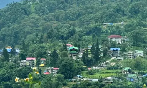 Sikkim: ग्रामीण पर्यटन और सामुदायिक विकास के लिए दारप आदर्श गांव के रूप में उभरा Sikkim: ग्रामीण पर्यटन और सामुदायिक विकास के लिए दारप आदर्श गांव के रूप में उभरा
