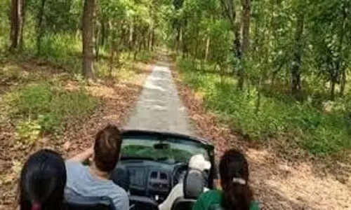 Uttarakhand: कॉर्बेट टाइगर रिजर्व में सफारी के दौरान मोबाइल फोन पर लगेगा बैन Uttarakhand: कॉर्बेट टाइगर रिजर्व में सफारी के दौरान मोबाइल फोन पर लगेगा बैन