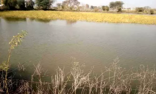 Rohtak के खेत अभी भी जलमग्न, ड्रेनेज प्रोजेक्ट किसानों के लिए उम्मीद लेकर आए