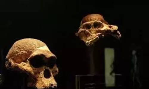 Science :अफ्रीका में मिली 7 लाख साल पुरानी इंसान की हड्डियां Science :अफ्रीका में मिली 7 लाख साल पुरानी इंसान की हड्डियां