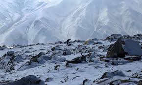 Jammu & Kashmir :बर्फबारी से कश्मीर में टूरिस्ट वापस आए