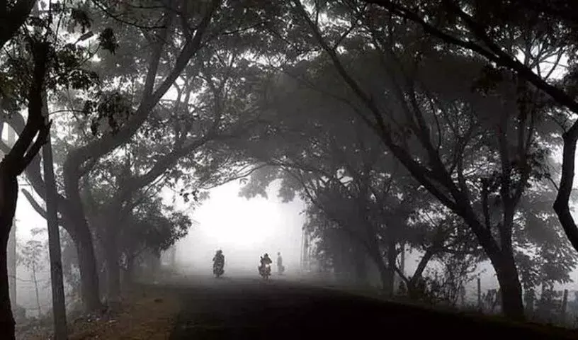 Hyderabad: कोहरे और संक्रांति की भीड़ के बीच सड़क सुरक्षा सलाह जारी