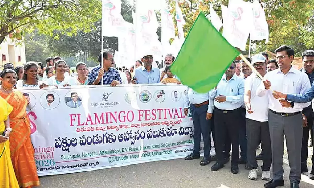 Andhra: फ्लेमिंगो फेस्टिवल से पहले तिरुपति में जागरूकता रैली निकाली गई Andhra: फ्लेमिंगो फेस्टिवल से पहले तिरुपति में जागरूकता रैली निकाली गई