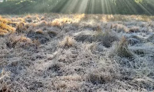 Similipal में माइनस 1°C तापमान; झारसुगुड़ा, राउरकेला में अब तक का सबसे कम तापमान Similipal में माइनस 1°C तापमान; झारसुगुड़ा, राउरकेला में अब तक का सबसे कम तापमान