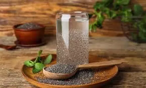 Benefits Of Chia Seeds: सुबह खाली पेट चिया सीड्स खाने के फायदे जानकर हैरान हो जाएंगे आप
