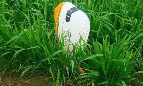 Sirsa में पाकिस्तानी गुब्बारा मिला Sirsa में पाकिस्तानी गुब्बारा मिला