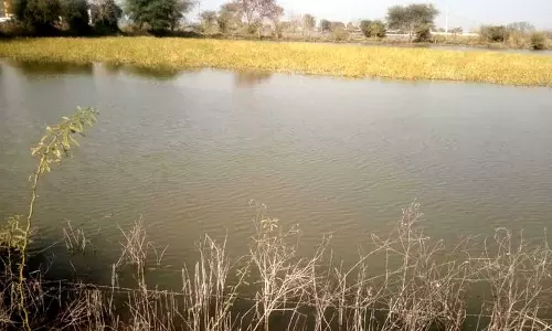 Rohtak के खेत अभी भी जलमग्न, ड्रेनेज प्रोजेक्ट किसानों के लिए उम्मीद लेकर आए Rohtak के खेत अभी भी जलमग्न, ड्रेनेज प्रोजेक्ट किसानों के लिए उम्मीद लेकर आए
