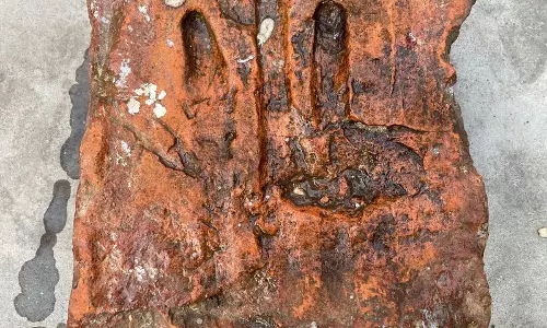 Topra कलां बुद्ध और अशोक की विरासत को सहेजता है Topra कलां बुद्ध और अशोक की विरासत को सहेजता है