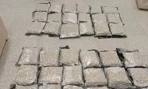 एयरपोर्ट पर कस्टम की बड़ी कार्रवाई, 14 करोड़ की हाइड्रोपोनिक गांजा जब्त एयरपोर्ट पर कस्टम की बड़ी कार्रवाई, 14 करोड़ की हाइड्रोपोनिक गांजा जब्त