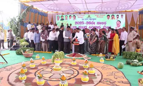 Gauribidanur: सिरिधन्या मेले के लिए रंगोली सजावट Gauribidanur: सिरिधन्या मेले के लिए रंगोली सजावट