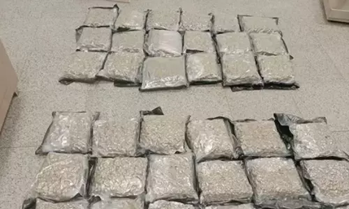 Hyderabad एयरपोर्ट पर 14 करोड़ रुपये की हाइड्रोपोनिक गांजा ज़ब्त की गई
