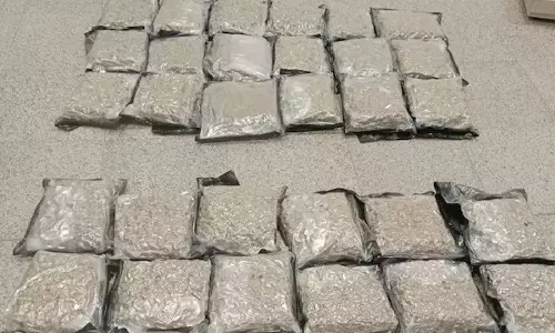 Hyderabad Airport पर 14 करोड़ रुपये कीमत का हाइड्रोपोनिक गांजा जब्त