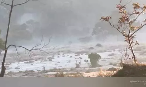 Similipal में हिमांक बिंदु पहुंचा; कोइडा, टेनसा में बर्फबारी Similipal में हिमांक बिंदु पहुंचा; कोइडा, टेनसा में बर्फबारी