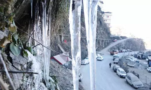 Himachal में शुष्क सर्दी का खतरा Himachal में शुष्क सर्दी का खतरा