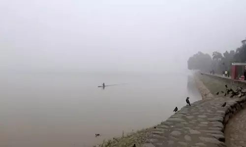 पंजाब-हरियाणा में घना कोहरा और ठंड जारी, तापमान सामान्य से नीचे: IMD