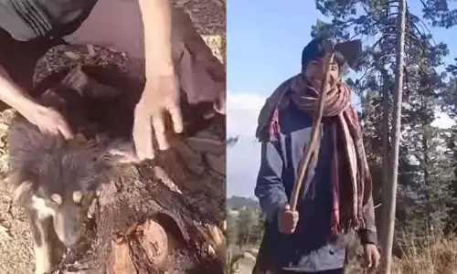 Kashmir: कुत्ते का कान काटकर रील बनाने पर दो लड़कों पर कार्रवाई Kashmir: कुत्ते का कान काटकर रील बनाने पर दो लड़कों पर कार्रवाई
