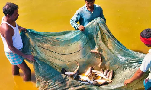 मछली पालन से बदली कृषक हड़मा कोड़ोपी की जिंदगी मछली पालन से बदली कृषक हड़मा कोड़ोपी की जिंदगी