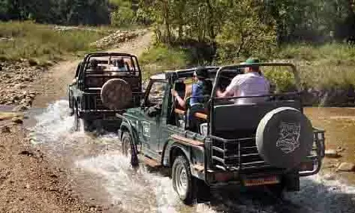 उत्तराखंड: कॉर्बेट सफारी में मोबाइल फोन पर रोक, SC के आदेश लागू उत्तराखंड: कॉर्बेट सफारी में मोबाइल फोन पर रोक, SC के आदेश लागू