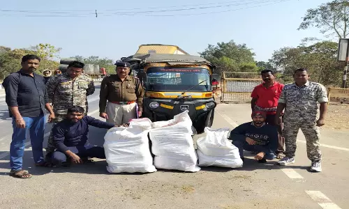 CG BREAKING: ऑटो से गांजा तस्करी करते दो तस्कर गिरफ्तार, 30 लाख का माल जब्त CG BREAKING: ऑटो से गांजा तस्करी करते दो तस्कर गिरफ्तार, 30 लाख का माल जब्त