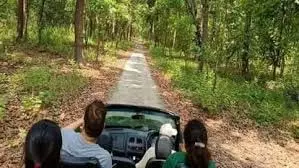Uttarakhand: कॉर्बेट टाइगर रिजर्व में सफारी के दौरान मोबाइल फोन पर लगेगा बैन Uttarakhand: कॉर्बेट टाइगर रिजर्व में सफारी के दौरान मोबाइल फोन पर लगेगा बैन