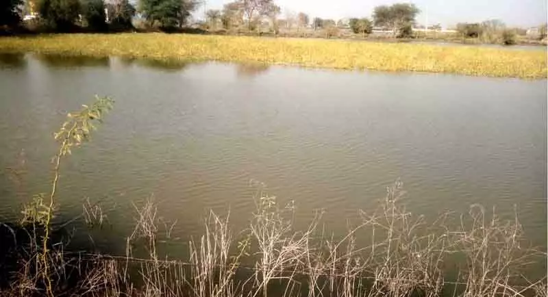 Rohtak के खेत अभी भी जलमग्न, ड्रेनेज प्रोजेक्ट किसानों के लिए उम्मीद लेकर आए Rohtak के खेत अभी भी जलमग्न, ड्रेनेज प्रोजेक्ट किसानों के लिए उम्मीद लेकर आए