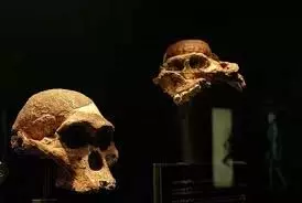 Science :अफ्रीका में मिली 7 लाख साल पुरानी इंसान की हड्डियां Science :अफ्रीका में मिली 7 लाख साल पुरानी इंसान की हड्डियां
