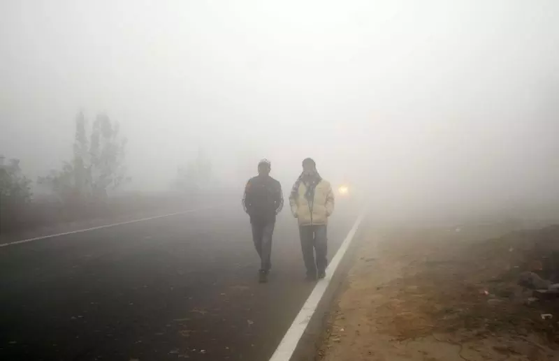 Haryana : उत्तर भारत में कड़ाके की ठंड, 15 जनवरी तक ठंड जारी रहने की संभावना Haryana : उत्तर भारत में कड़ाके की ठंड, 15 जनवरी तक ठंड जारी रहने की संभावना