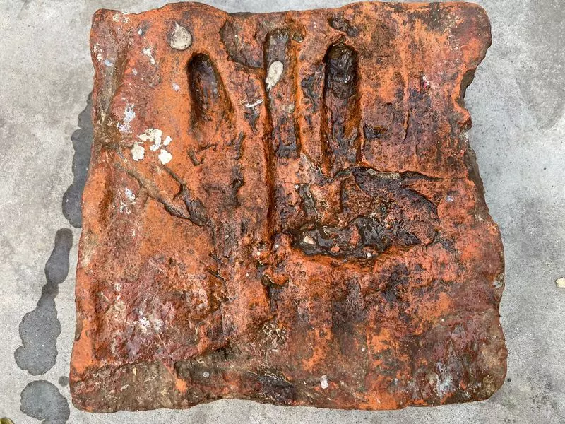 Topra कलां बुद्ध और अशोक की विरासत को सहेजता है Topra कलां बुद्ध और अशोक की विरासत को सहेजता है