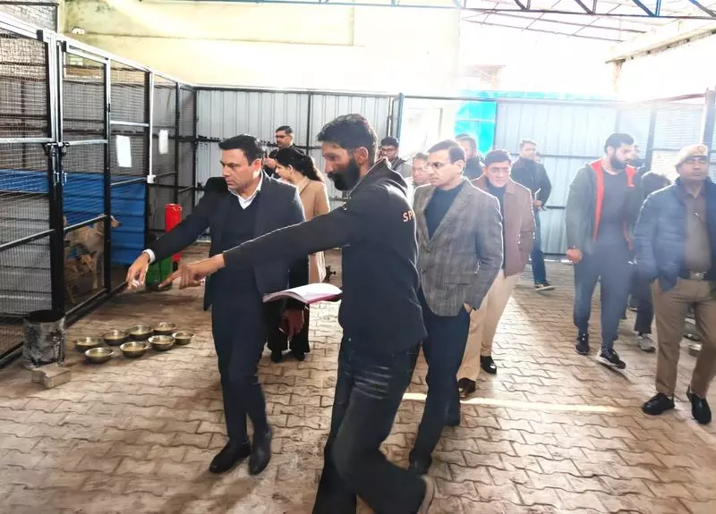 Yamunanagar नगर निगम कमिश्नर, एडीसी ने एनिमल बर्थ कंट्रोल सेंटर का निरीक्षण किया Yamunanagar नगर निगम कमिश्नर, एडीसी ने एनिमल बर्थ कंट्रोल सेंटर का निरीक्षण किया