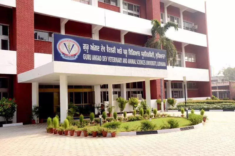 Vet University ने CM अवार्ड के लिए आवेदन आमंत्रित किए Vet University ने CM अवार्ड के लिए आवेदन आमंत्रित किए