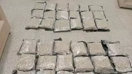 एयरपोर्ट पर कस्टम की बड़ी कार्रवाई, 14 करोड़ की हाइड्रोपोनिक गांजा जब्त एयरपोर्ट पर कस्टम की बड़ी कार्रवाई, 14 करोड़ की हाइड्रोपोनिक गांजा जब्त