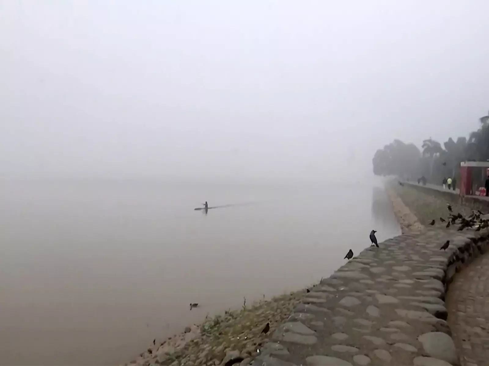 पंजाब-हरियाणा में घना कोहरा और ठंड जारी, तापमान सामान्य से नीचे: IMD पंजाब-हरियाणा में घना कोहरा और ठंड जारी, तापमान सामान्य से नीचे: IMD